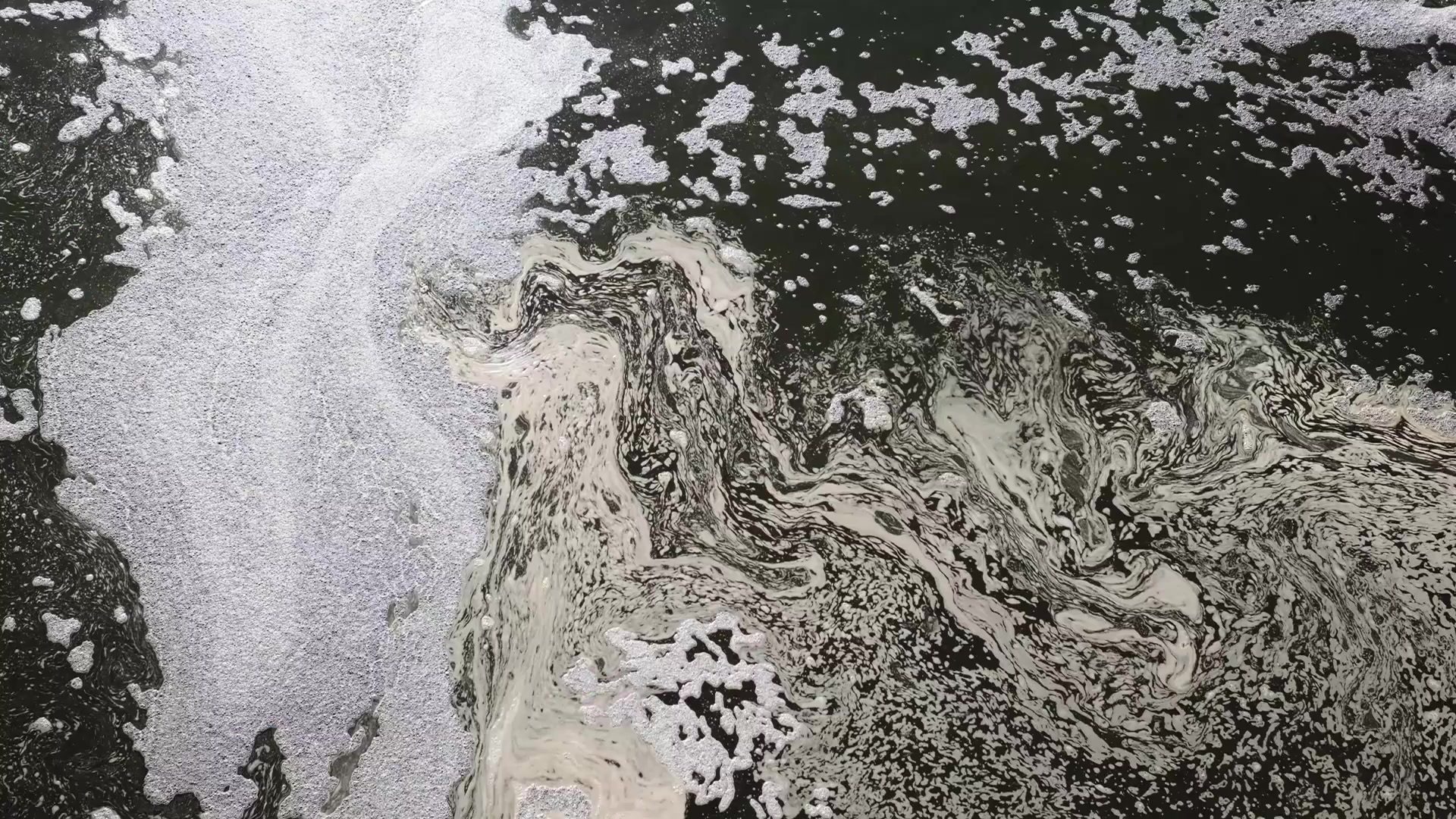 Polluted water at the edge of a lake.